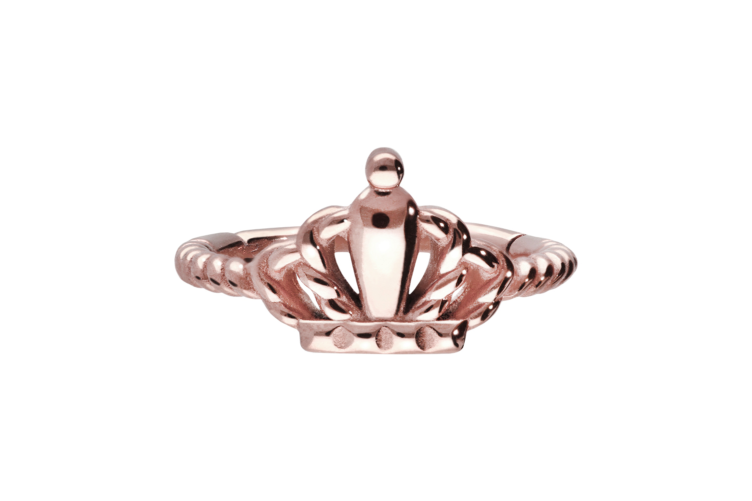 Chirurgenstahl Segmentring Clicker Piercing KRONE + GEDREHT ++SALE++